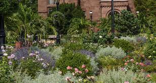 Botanists call them the species of the genus rosa, part of the family rosaceae. The Modern Rose Smithsonian Gardens