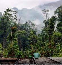 Tebing batu di lokasi terpencil skotlandia memberi informasi bahwa bumi telah berumur jutaan tahun. 23 Tempat Wisata Di Labuhanbatu Utara Sumut Yang Wajib Dikunjungi