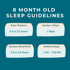 8 Month Old Sleep Guidelines: . Wake Windows: 2.5 to 3.5 Hours Number of  Naps: 2 Daytime Sleep Needs: 2.5 to 3.5 Hours Bedtime Range: 7:00-7:30 PM .  Use this as a