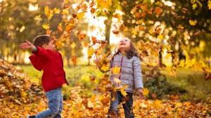 Autumn definition, the season between summer and winter; Warm Weather This Year Means Autumn Leaves Could Be Extra Special Cbbc Newsround