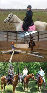 Equine Boarding Training Lesson Services Horses Equestrian Outfits Riding Lessons