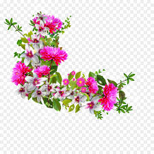 Panduan import dan export di coreldraw. Pink Flowers Background