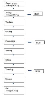 Figure 1 Process Flow Chart For Gari Production Showing