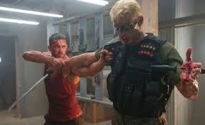 Rival gangs seek out millions of dollars hidden inside a luxury condominium that's scheduled to be demolished, but first they have to deal with the janitor who found the loot first. Exclusive Dolph Lundgren Teams With Scott Adkins On Castle Falls Plot Character Descriptions Cosmic Book News