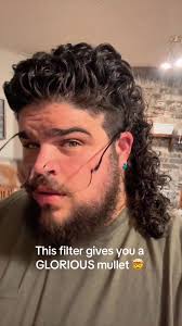 Mullet Haircut Filter