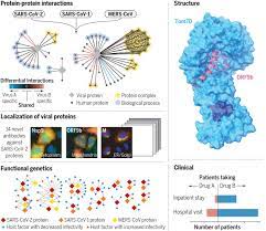 The collection of viruses found to infect humans (the human virome) can have profound effects on health. Comparative Host Coronavirus Protein Interaction Networks Reveal Pan Viral Disease Mechanisms Science