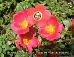 Find over 100+ of the best free hope flower images. This Is Just A Picture Of A Regular Flower Full Of Sunshine Flowers J Hope Memes Bts Memes