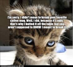 Lolcats Coffee Lol At Funny Cat Memes Funny Cat Pictures With Words On Them Lol Cat Memes Funny Cats Funny Cat Pictures With Words On