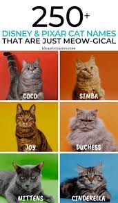 Disney Cat Names That Are Just Meow Gical Pixar Names For New Kittens Cats Ilovecats Catlover Catnames Petnames Disney Cat Names Cute Cat Names Cat Names