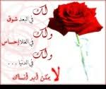 إعراب قوله تعالى وفي السماء رزقكم وما توعدون