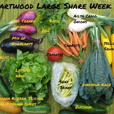 This is because using division(76 divided by 4) we find that each bushel weighs 19 lbs. About Our Csa Hartwood Farm