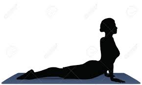 We did not find results for: Vector Illustration Of Yoga Positions In Cobra Pose Royalty Free Cliparts Vectors And Stock Illustration Image 26009850