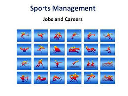List of top bachelor of business administration bba (sports management) colleges in india based on 2021 ranking. Sports Management Colleges In India Free Download Lyrics Mp3 And Mp4 Numpa Moto