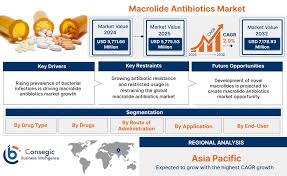 Image result for Macrolide