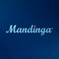 Mandinga | LinkedIn