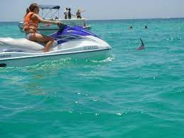 Your jet ski rental or jet ski dolphin tours will be the most fun you've ever had! Pin On Travel Memories
