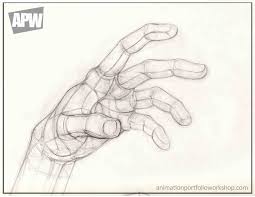 Hand Drawing From The Animation Portfolio Of Ken Wong Animation Portfolio How To Draw Hands Arm Drawing