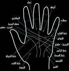 الانسان الزهرى أو الزهروى يدعي أصحاب هذه القصة أن الصبي الذي يمتلك خطا متواصلا في يده يكون زوهري أي محظوظ كلمة زهري مشتقة من كلمة الزهر وهي من أصل عربي