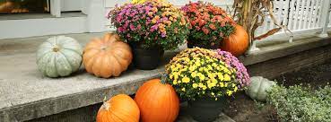 Hours may change under current circumstances Flowers Archives Price Chopper Market 32