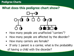 pedigree charts ppt download