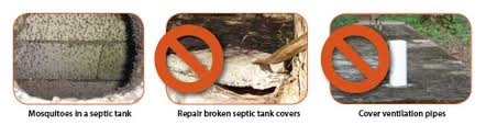 Contractors need to use special equipment to fill cracks and repair damage. Keep Mosquitoes Out Of Your Septic Tank Mosquitoes Cdc