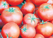 Image result for tomatoes improve sperm count