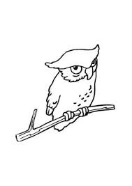 Ausmalbild Eule Auf Ast Zum Kostenlosen Ausdrucken Und Ausmalen Ausmalbilder Malvorlagen Eule Eulen Ausmalb Ausmalbilder Eulen Eule Ausmalbilder Malvorlage eule pdf malvorlagen zuckersch 228 pdf bei getcolorings in 2020. ausmalbild eule auf ast zum kostenlosen