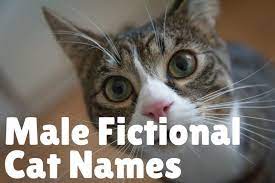 110 unique names for cats with green eyes find the perfect name for your kitty from over 100 unique names for cats with green eyes. 229 Brilliant Literary Names For Cats
