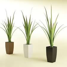 Plant 27 3d Model Plants Trees To Plant Plant Leaves