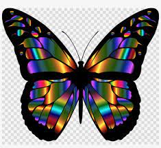 The growth of the wings occurs through the process of mitosis, where there is a rapid production of new cells. Download Passion Dust Intimacy Capsule Clipart Butterfly Colorful Butterfly Wings Png Png Image Transparent Png Free Download On Seekpng
