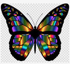 It is thus no wonder that the butterfly coloring pages are in great demand among young kids. Download Passion Dust Intimacy Capsule Clipart Butterfly Colorful Butterfly Wings Png Png Image Transparent Png Free Download On Seekpng