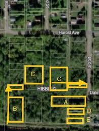 Image result for Littonia