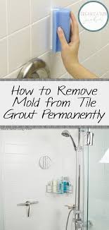How To Remove Mold From Tile Grout Permanently Organization Junkie Mold Remover Cleaning Mold Clean Shower Grout
