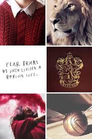 Fairytale Aesthetics Gryffindor Hogwarts Harry Potter Aesthetic Harry Potter Wallpaper Gryffindor Aesthetic