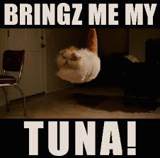 We did not find results for: Good Luck Maze For Mobile Casino As Well As Funny Cats And Brad Pitt Caricature Funny Gif Funny Cat Videos Funny Cat Memes