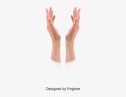 Lifted Hands Slender Hands Open Hand Hands Png And Çº¢ Ä¸ Å¸¦ Ç´ æ Png Image Transparent Png Free Download On Seekpng Download the hands, people png on freepngimg for free. lifted hands slender hands open hand