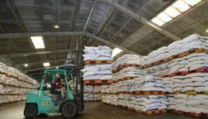 Menentukan jenis forklift yang benar untuk memindahkan barang. Pupuk Indonesia Siapkan Stok Pupuk Nonsubsidi 775 704 Ton
