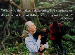 Jane Goodall Quotes Jane Goodall Quotes Jane Goodall Wildlife Quotes