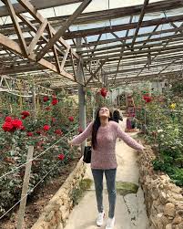 Pengalaman bercuti di cameron highland 3 hari 2 malam. 8 Lokasi Instagrammable Di Cameron Highlands Yang Patut Anda Lawati Lifestyle Rojak Daily