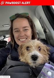 Missing girl in Egg Harbor Twp