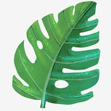  Gambar Tumbuhan Tropika Daun Pisang Daun Besar Lukisan Daun Tumbuhan Tropika Panas Png Dan Psd Untuk Muat Turun Percuma Daun Lukisan Pisang