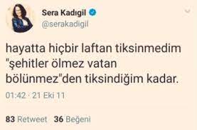 Kılıçdaroğlu ardından kadıgil'i ilk seçimde i̇stanbul'dan milletvekili yaparak ödüllendirdi. Ibrahim Melih Gokcek On Twitter Chp Li Sera Kadigil Aklima O Twitleri Geldi De Hadi Sera Suriye Tarafina Gitsene Bizim Yigitlerin Bir Fuzesi Denk Gelmez De Sag Kalirsan Esed Sana Kesin Milletvekilligi De