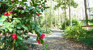 It's one hot travel spot that has garnered rave reviews. 15 Beautiful Gardens You Should Explore Near Greenville