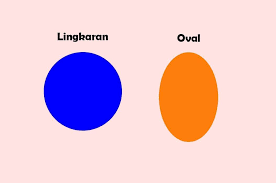 Mengapa oval bukan merupakan segi banyak. Inilah Perbedaan Lingkaran Dan Oval Meski Mirip Ternyata Keduanya Berbeda Semua Halaman Bobo
