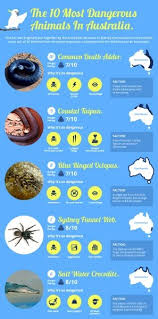 The 10 Most Dangerous Animals In Australia Australia Animals Dangerous Animals In Australia Dangerous Animals
