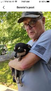 Miniature pony and mule missing in southeast corner of town