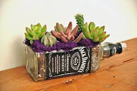 Bottles Craft Panosundaki Pin