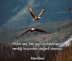 Allah Ayet Hadis Hzmuhammedsav Ibretlikhikayeler Islam Kuranikerim Namaz Ozlusozler Sozler Ayet Hadis Dua En Guzel Ozlu Sozler Ibr Life Slogan Rumi