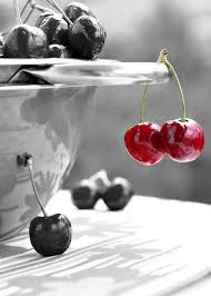 Black And White Photography With Red Color Splash Renkler Color Splash Photography Color Splash Color Splash Photo