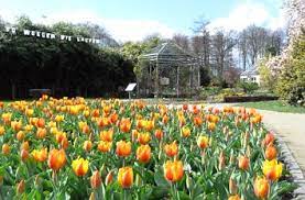 Der botanische garten grüningen ist seit 1. Quermania Schlossgarten Und Botanischer Garten Am Schloss In Munster Ausflugsziel Und Sehenswurdigkeit Im Munsterland In Nrw